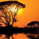 oil and gas natural reserves in africa