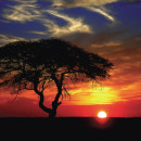 Oil and Gas Opportunities and Prospects of Renewable Energy in Africa