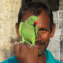 Qatar Culture - College of the North Atlantic