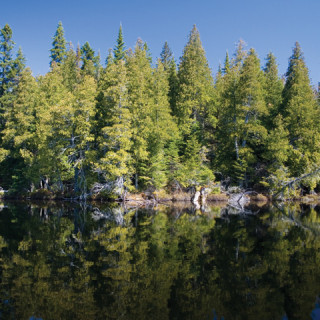 Leaving the World In Better Shape Than We Found It