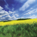 Dawson Creek Sustainable Energy