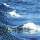 Journey to Hebron Safety & Sustainability