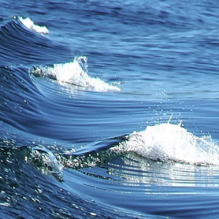 Journey to Hebron Safety & Sustainability