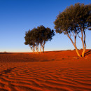 Australian Outback Drilling