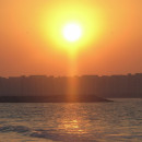 Carbon free Abu Dhabi