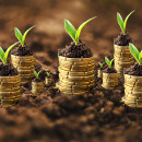 Investment portfolio