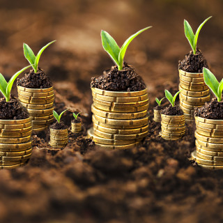 Investment portfolio