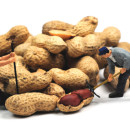 employee compensation