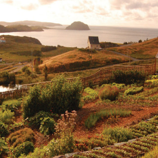 ship cove newfoundland