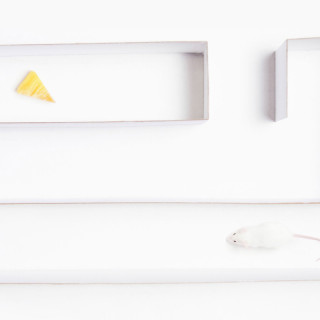 Government Funding Opportunities In ICT Innovation