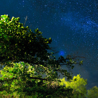 south africa oil and gas