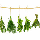Herbs That Heal