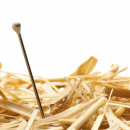 hiring the first time