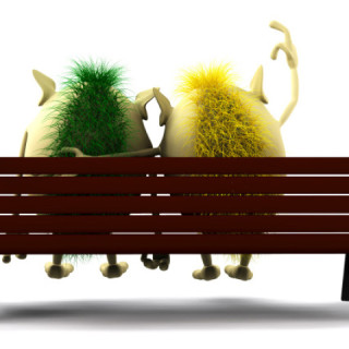 The Power Of A Brand