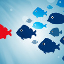 Sheryl Sandberg’s “Lean In: Women, Work, And The Will To Lead”