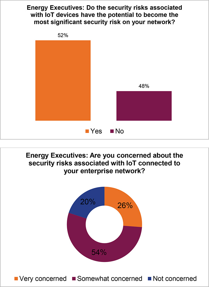 Do the security risks associated with IoT devices have the potential to become the most significant security risk on your network?