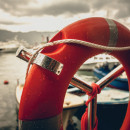 Looking into the Future of Holyrood Newfoundland