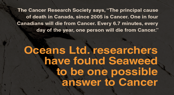 Ocean's Ltd