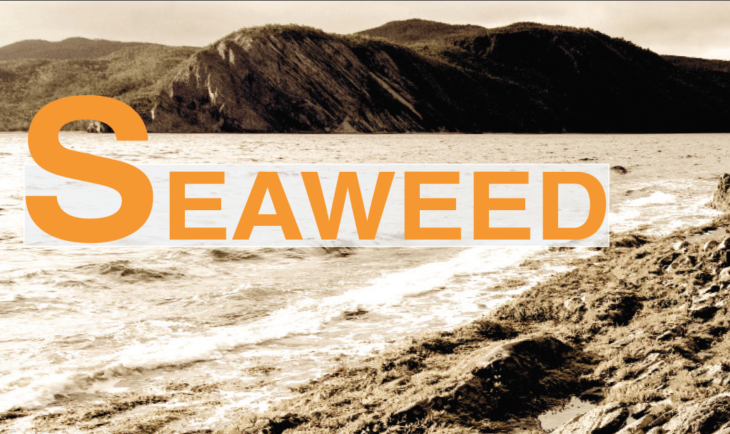 seaweed