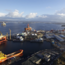 bull arm supply base