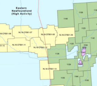 offshore newfoundland