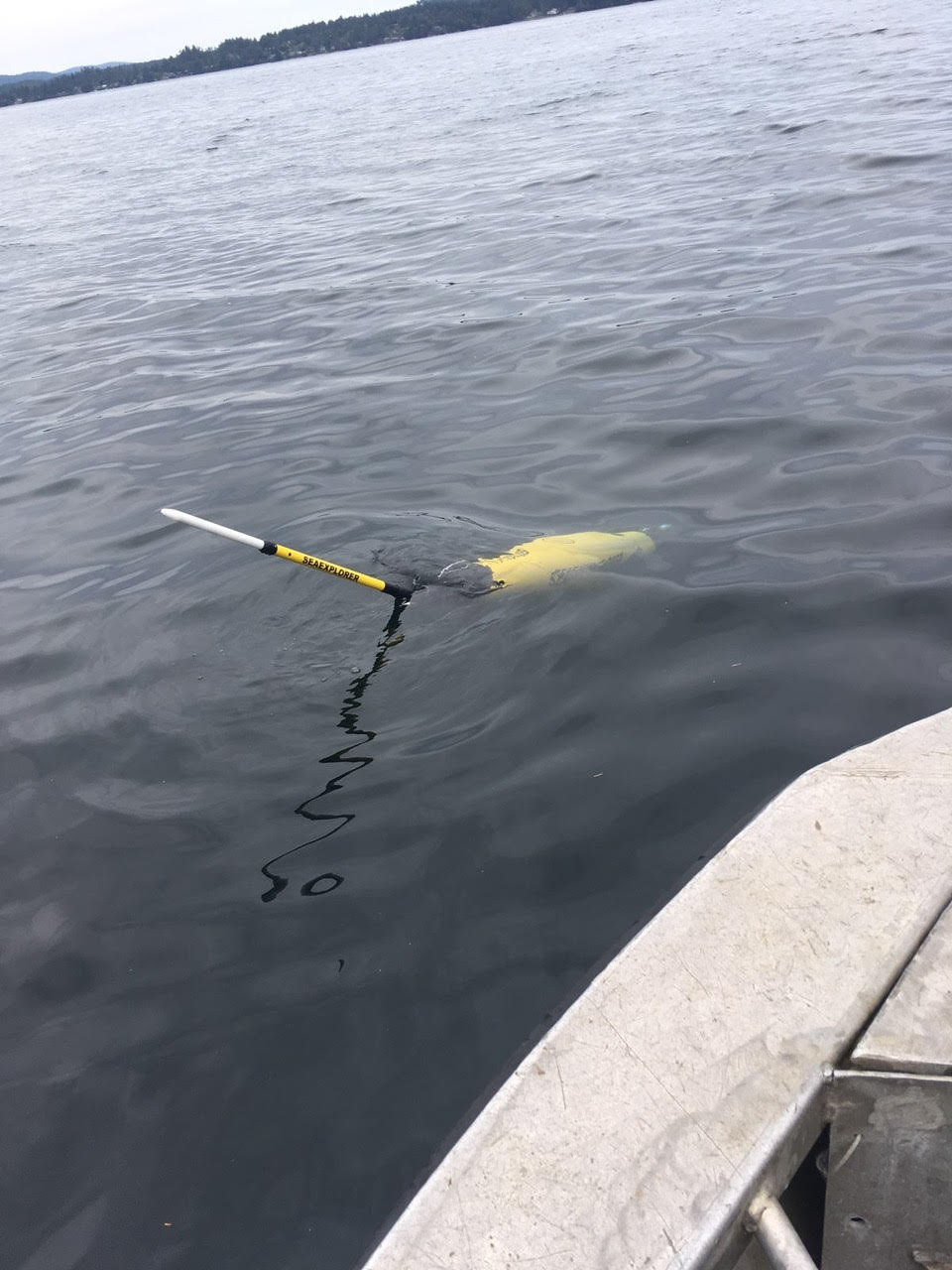 SEAEXPLORER: Powerful Autonomous Underwater Sensing Platform | OUR ...