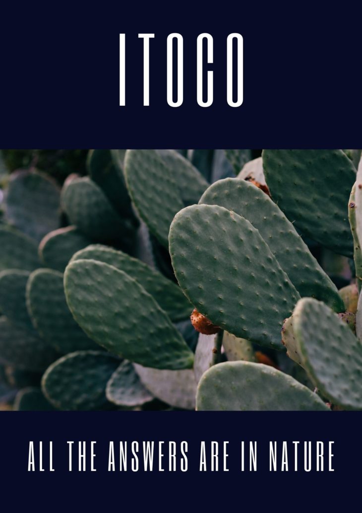 ITOCO - NET ZERO