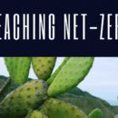 Divert Climate change and reduce CO2 with ITOCO Cactus Farms