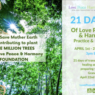 Love peace harmony foundation