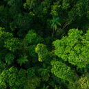 EMISSIONS CONTROL & REDUCTION INITIATIVE