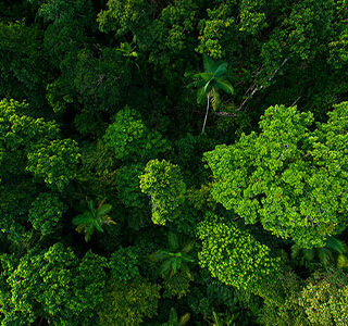 EMISSIONS CONTROL & REDUCTION INITIATIVE