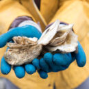 Protect Biodiversity and Marine Resources