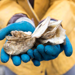 Protect Biodiversity and Marine Resources