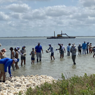 Carbon Sequestration Value of Restored Oyster Beds