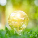 Expose ‘greenwashing’