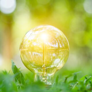 Expose ‘greenwashing’