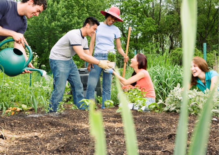 GLOBAL GARDENING