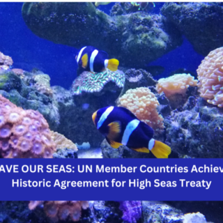 SAVE OUR SEAS