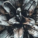 Emergent Waste Solutions Inc.