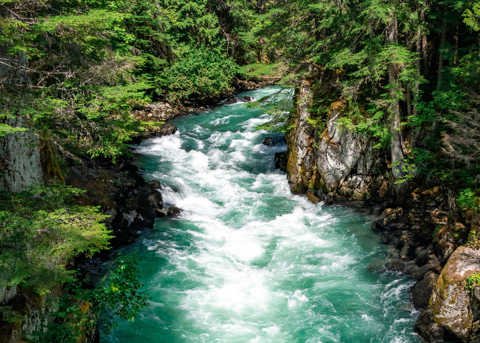 Eco Canada