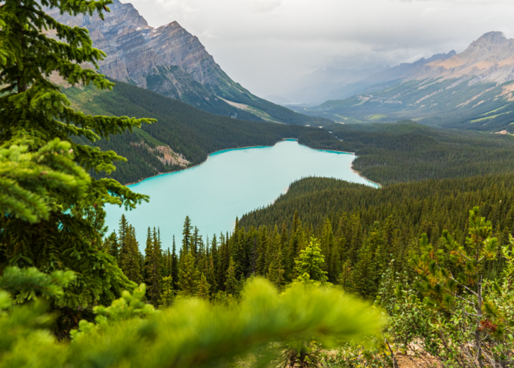 Eco Canada