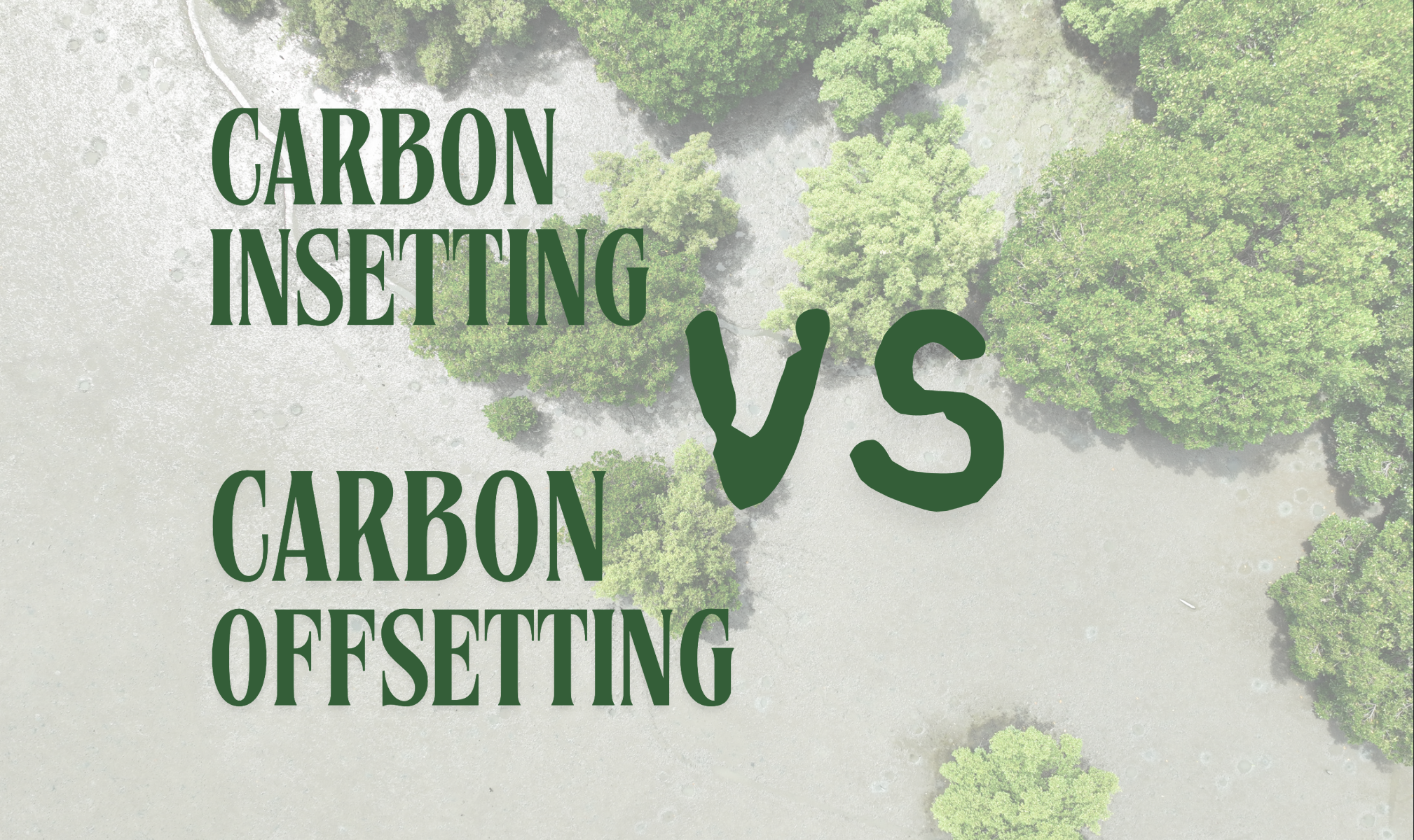 Offsetting And Insetting Carbon Insetting vs. Carbon Offsetting: 5 Ways Energy Companies Can ...